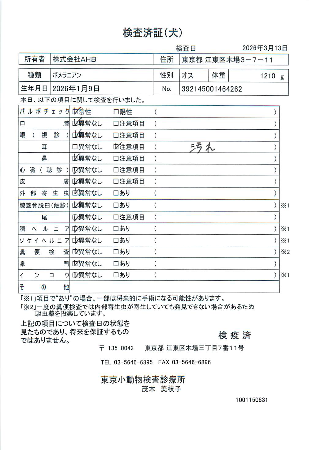 ポメラニアン