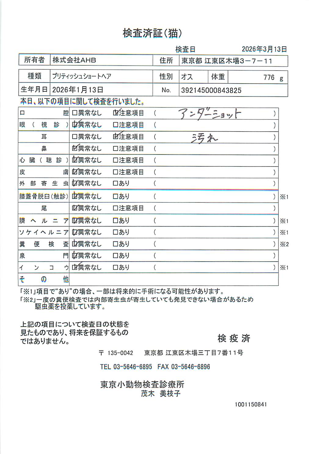ブリティッシュショートヘア