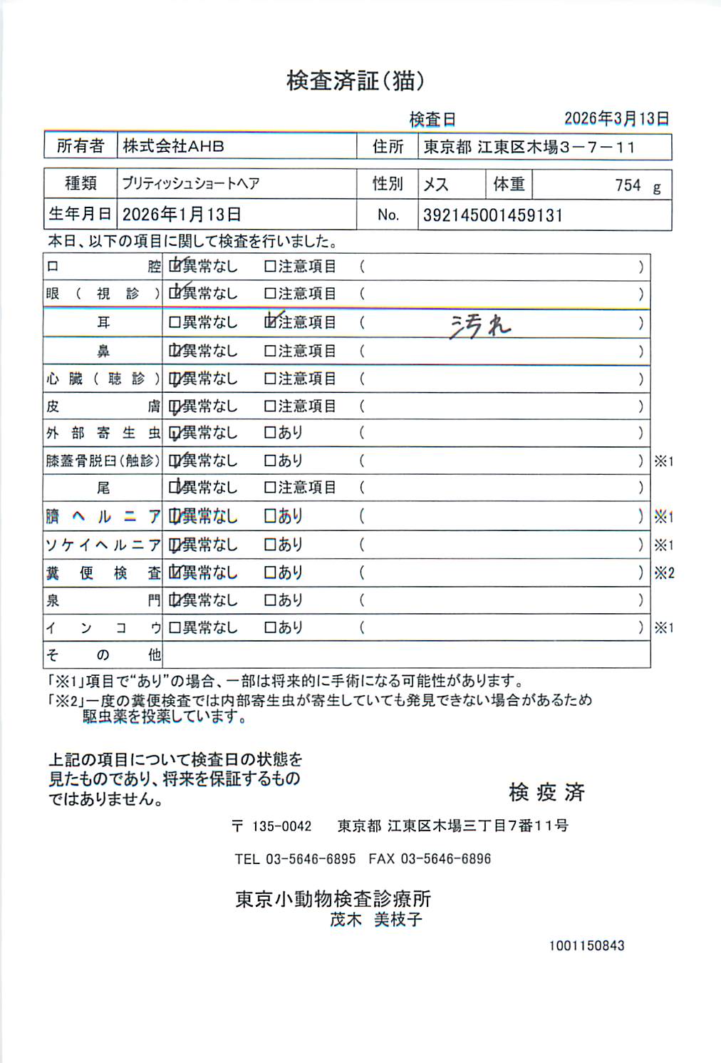 ブリティッシュショートヘア