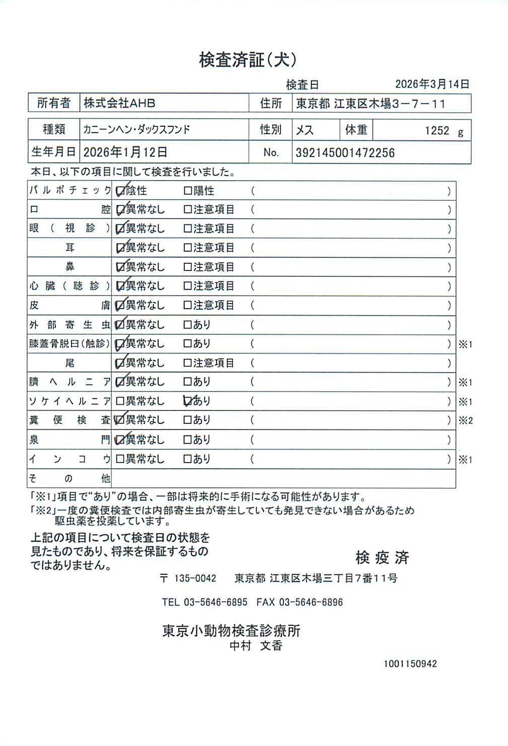 カニーンヘン・ダックスフンド