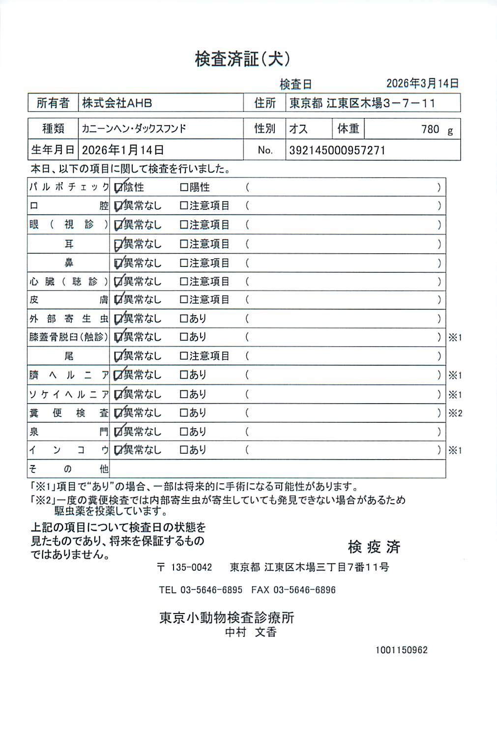 カニーンヘン・ダックスフンド