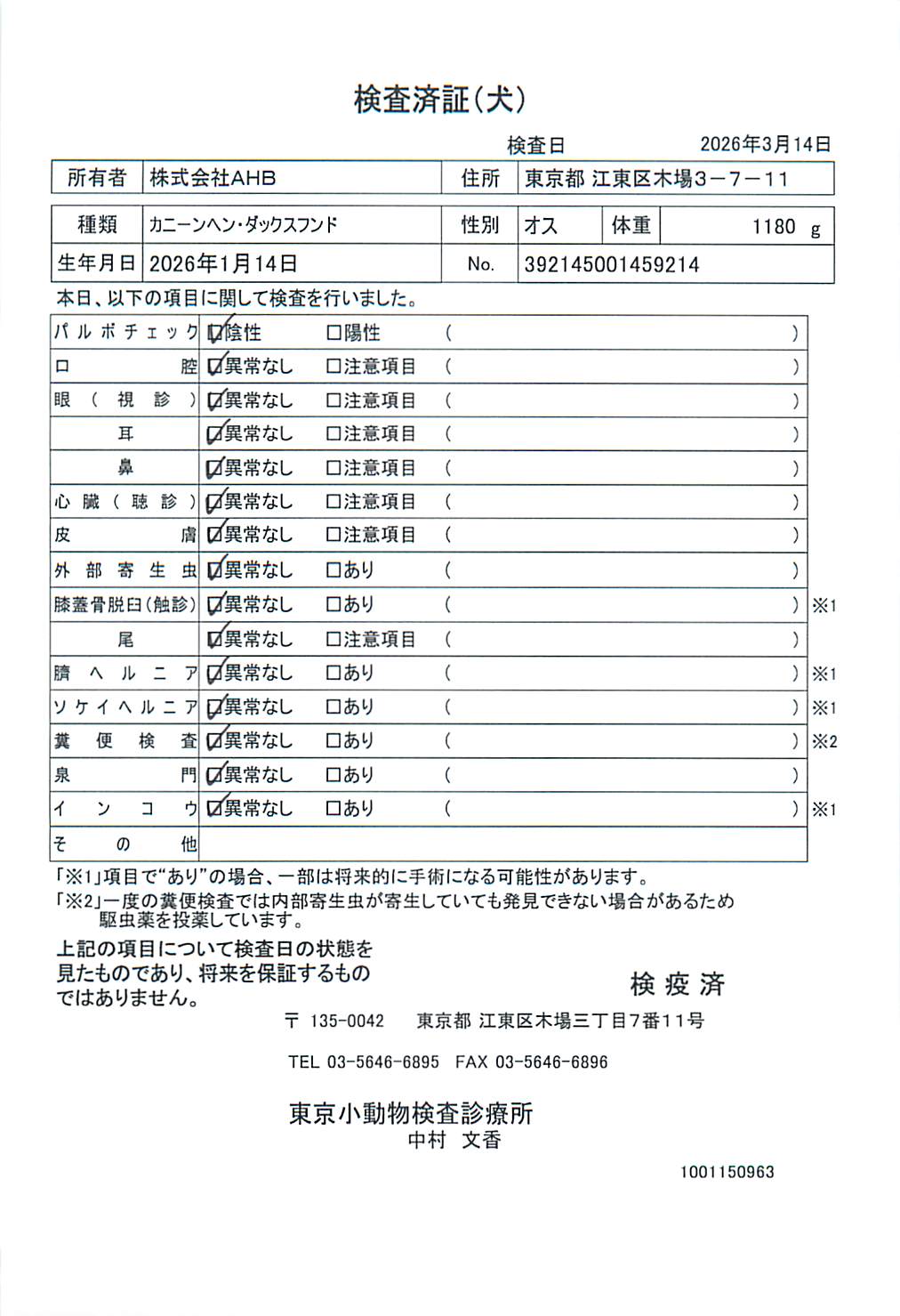 カニーンヘン・ダックスフンド