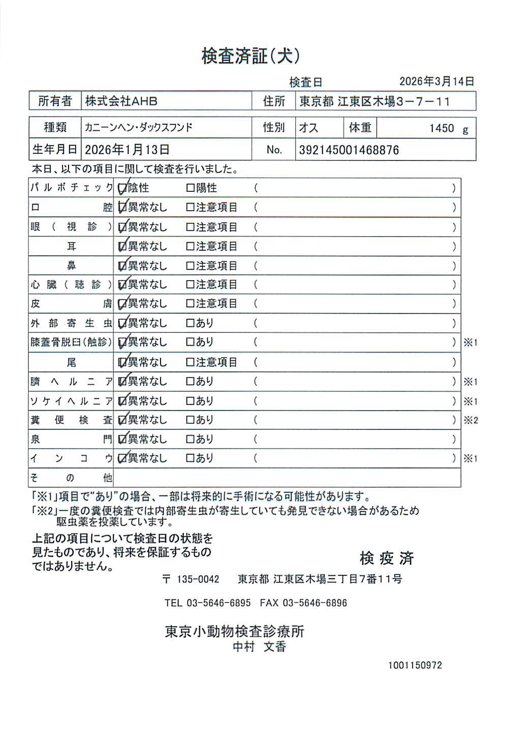 カニーンヘン・ダックスフンド