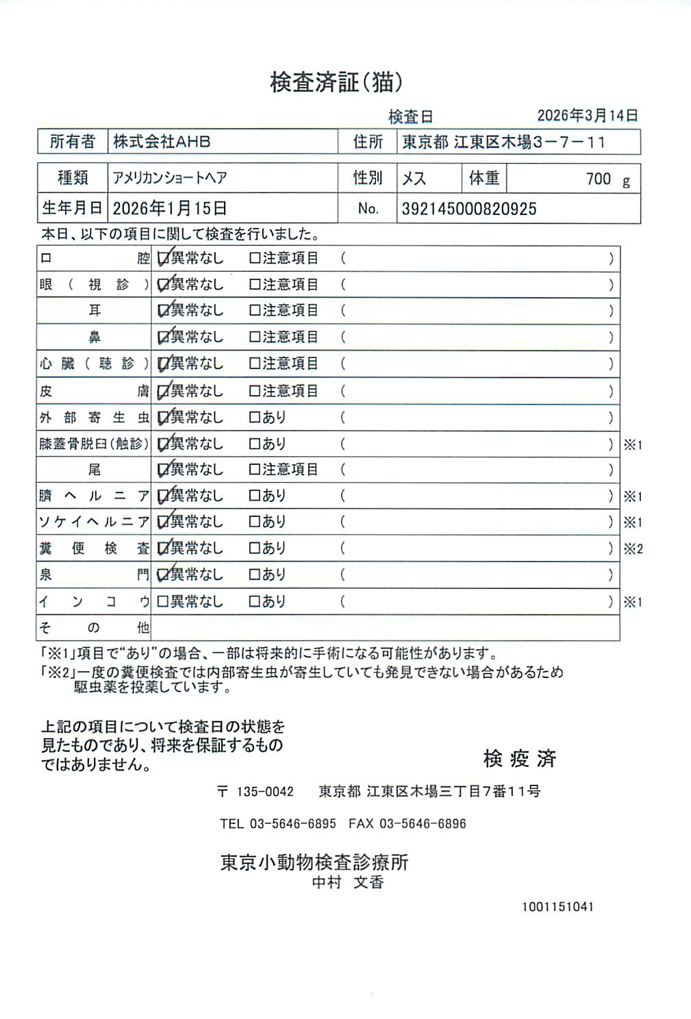 アメリカンショートヘア