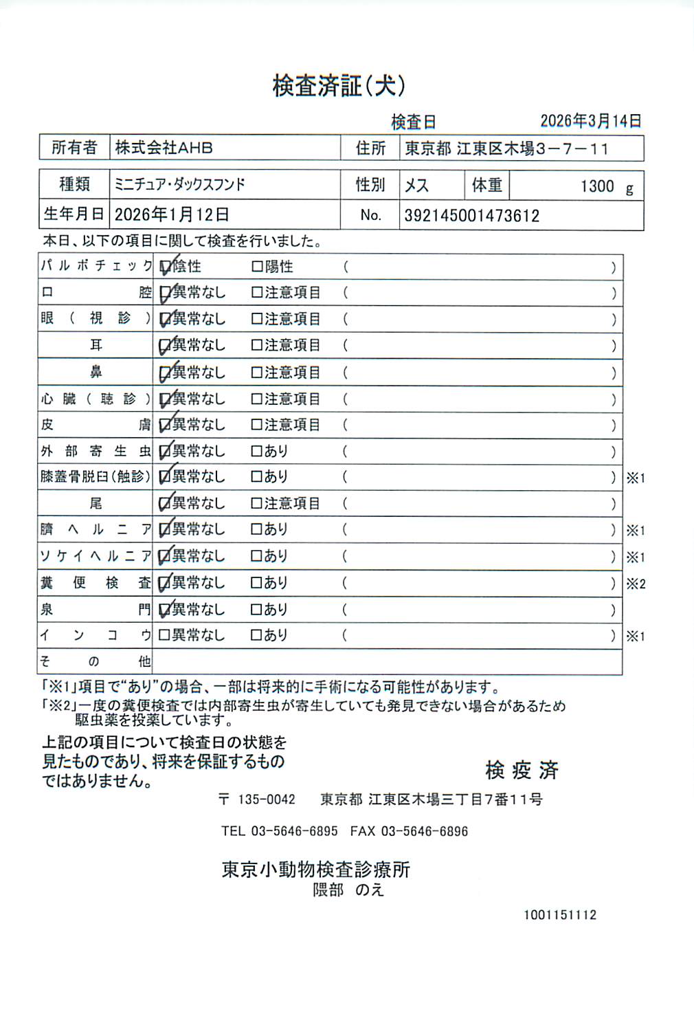 ミニチュア・ダックスフンド