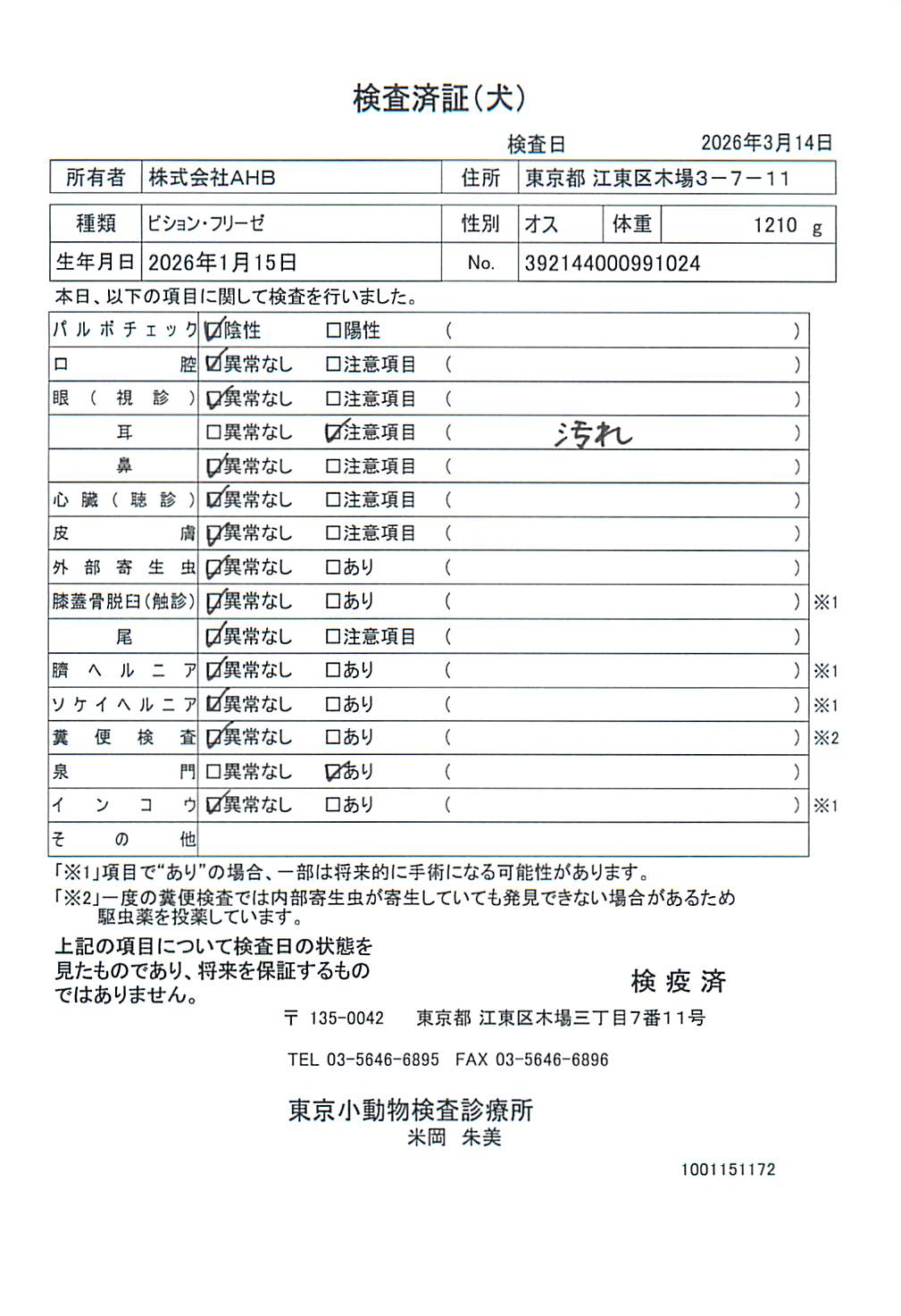 ビション・フリーゼ