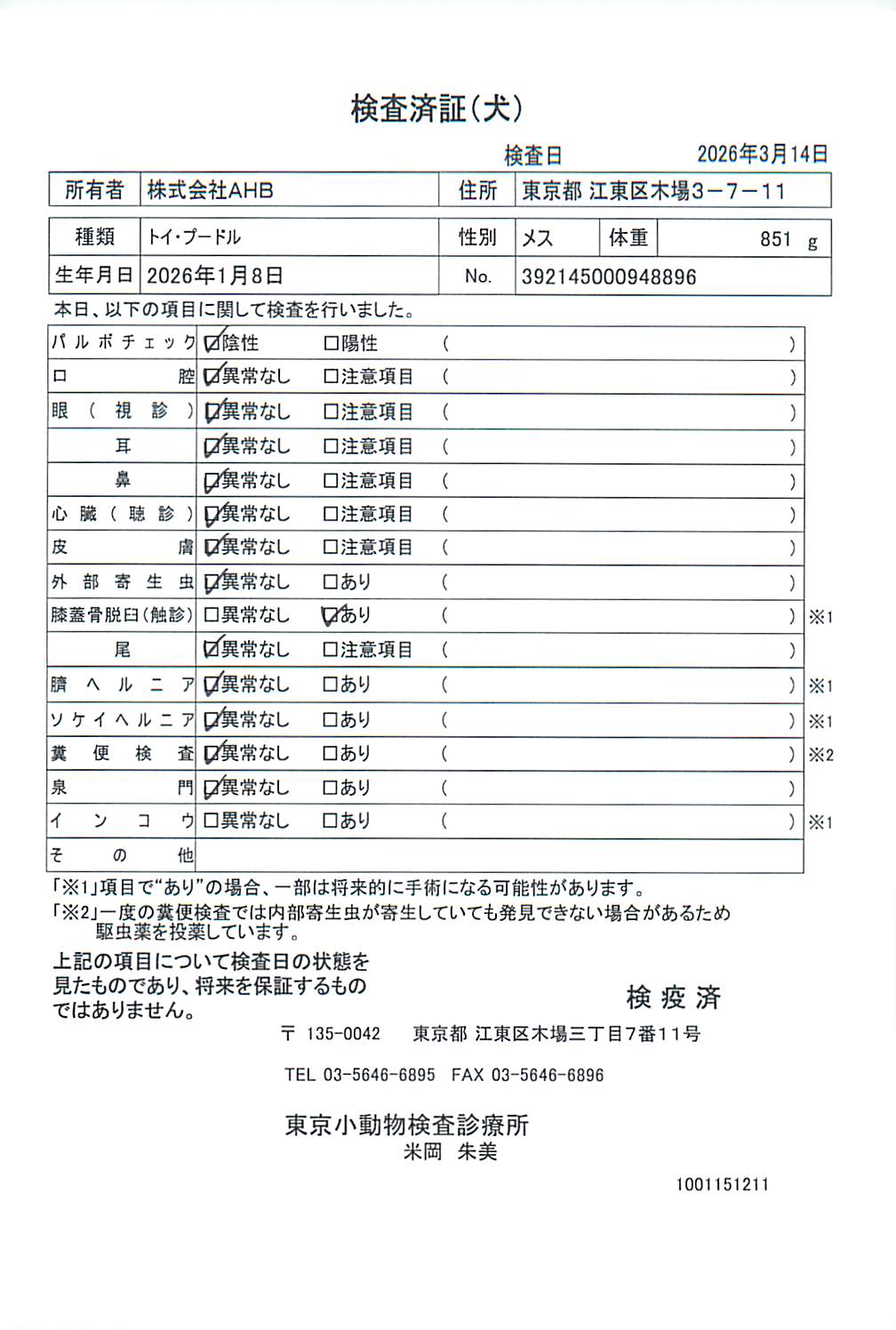 トイ・プードル