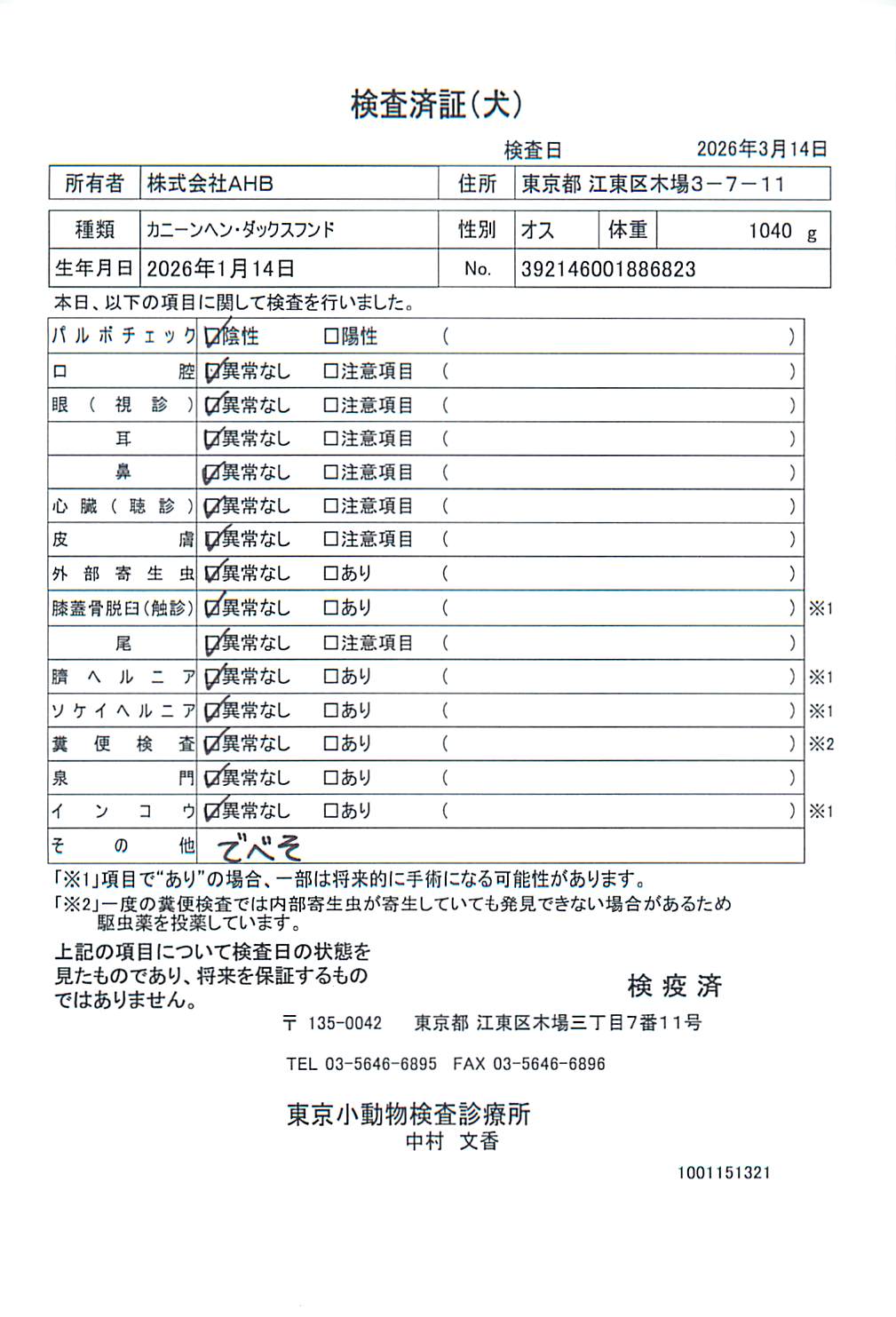 カニーンヘン・ダックスフンド