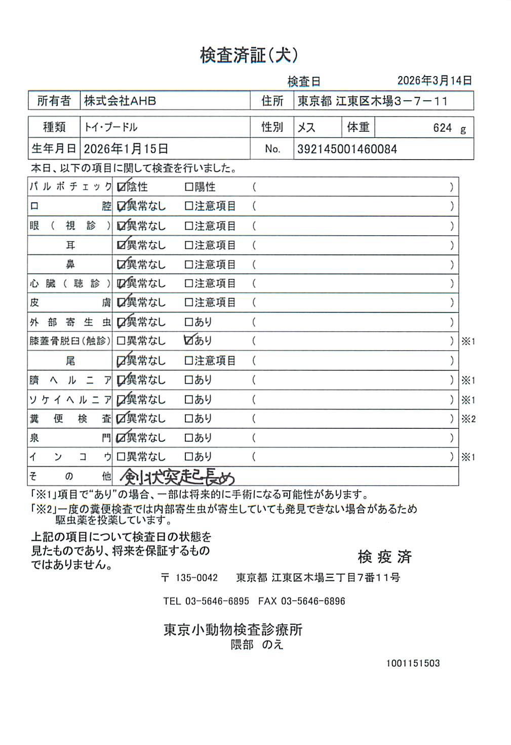 トイ・プードル
