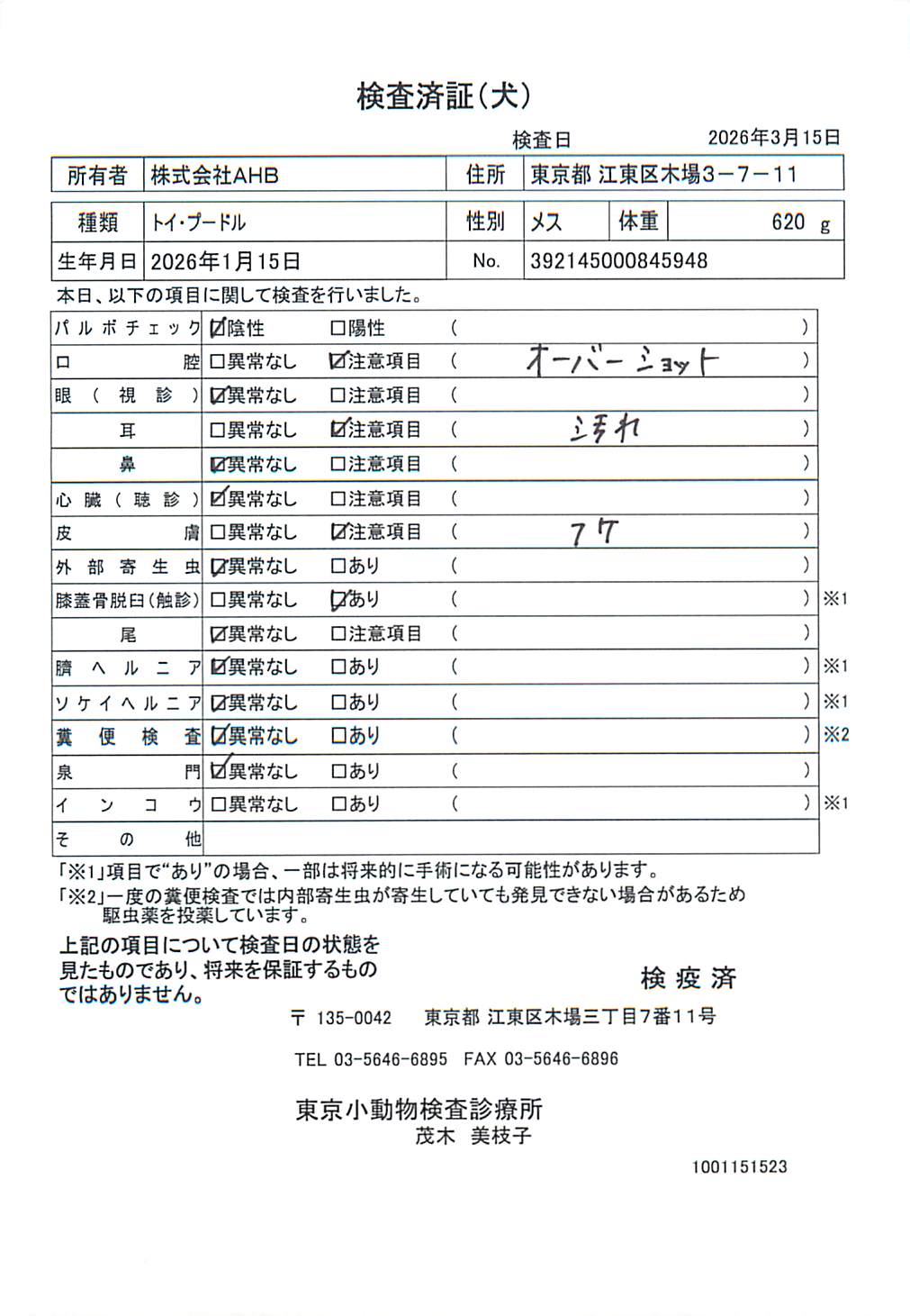 トイ・プードル
