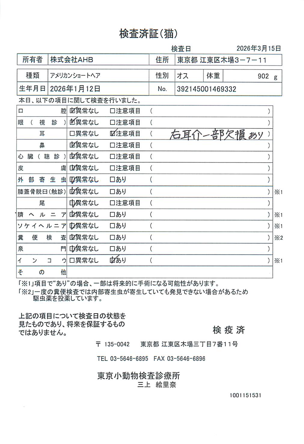 アメリカンショートヘア