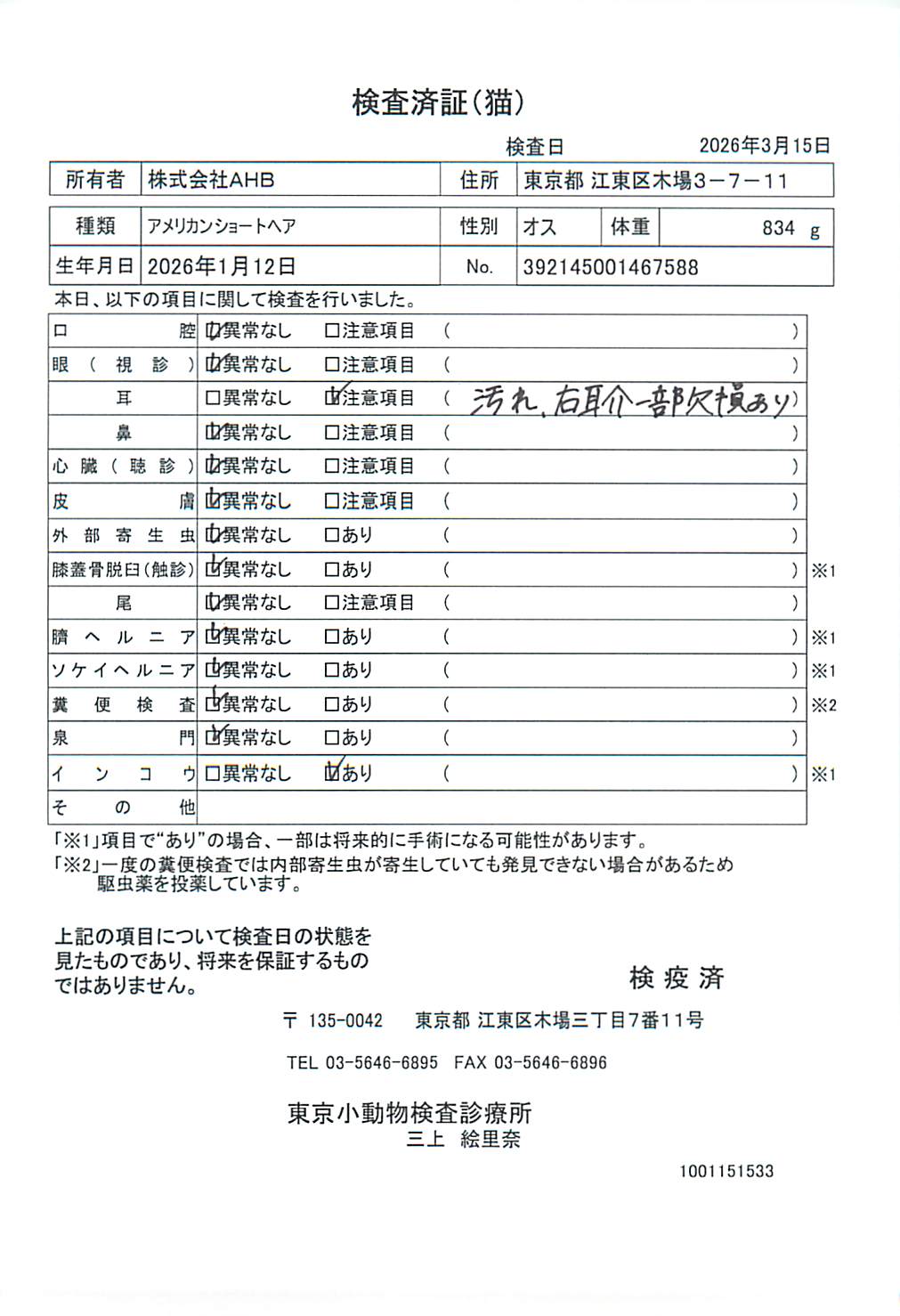 アメリカンショートヘア
