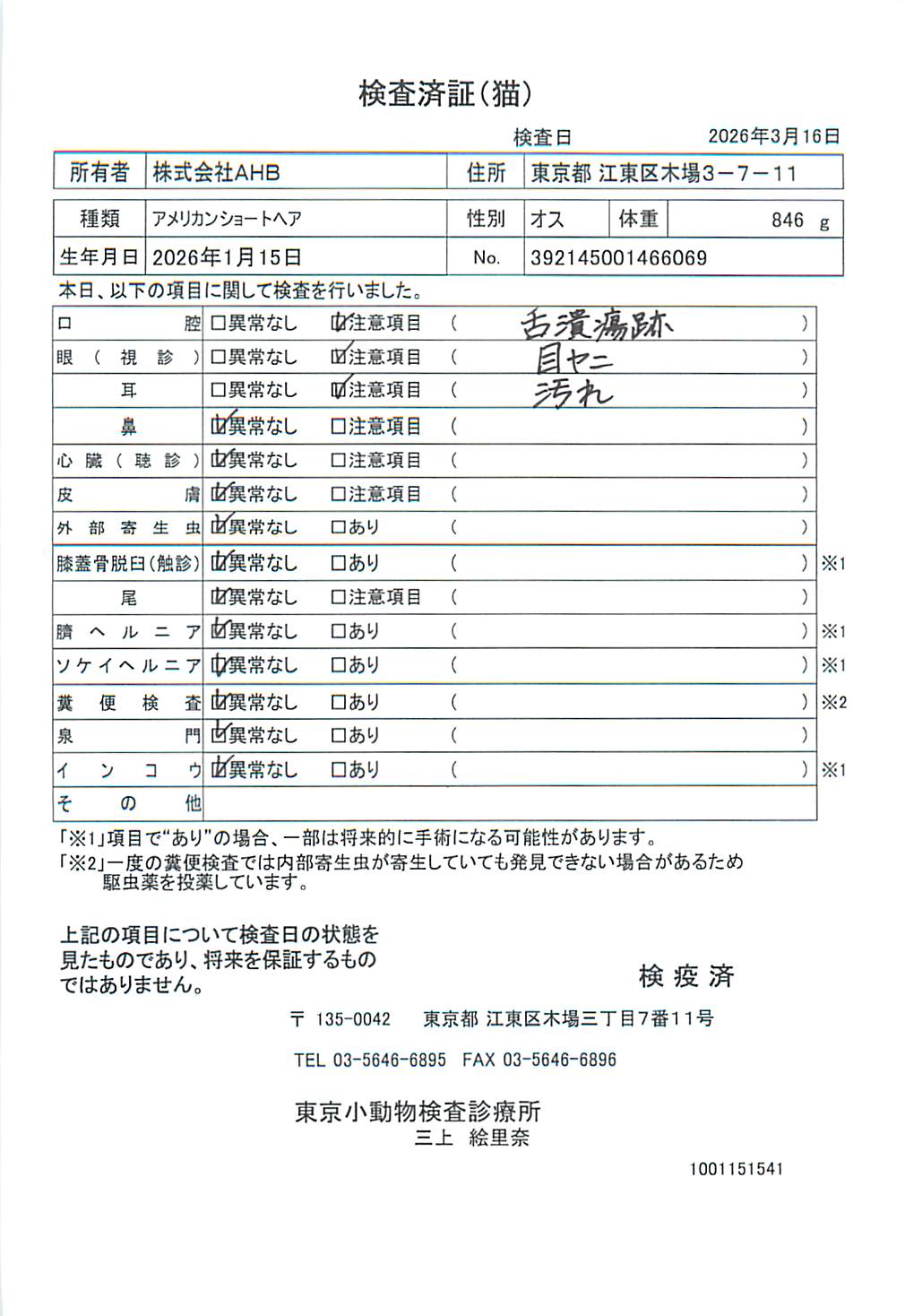 アメリカンショートヘア