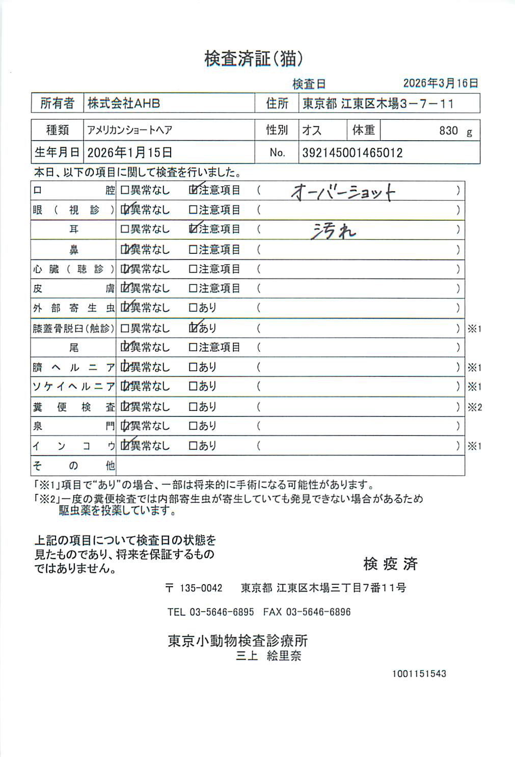 アメリカンショートヘア