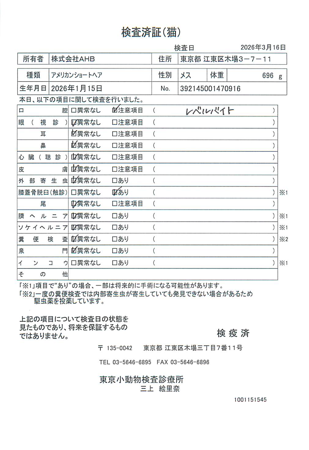 アメリカンショートヘア