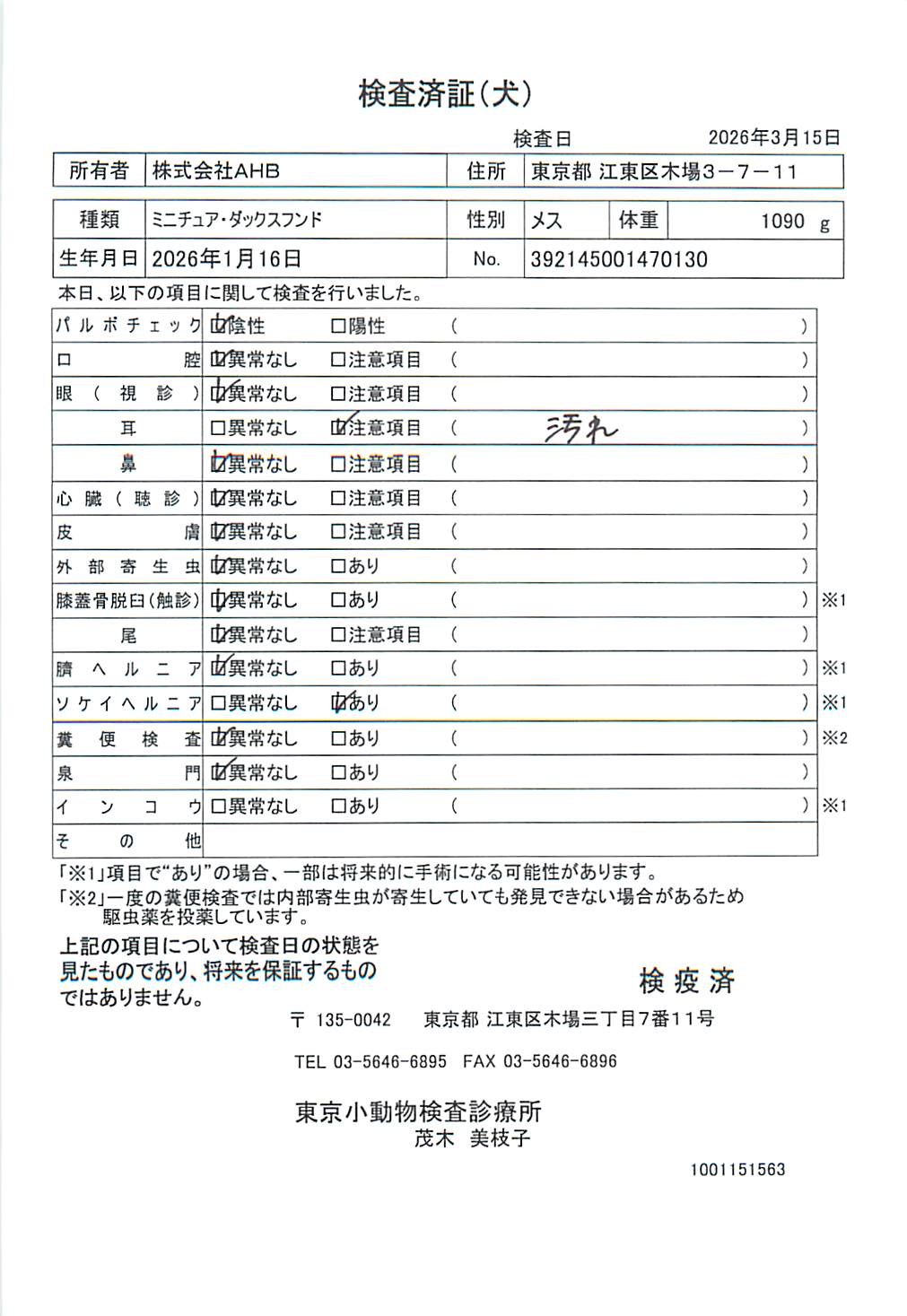 ミニチュア・ダックスフンド