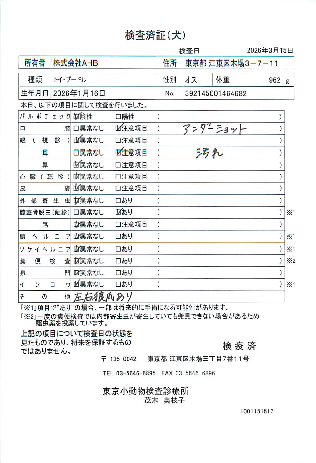 トイ・プードル
