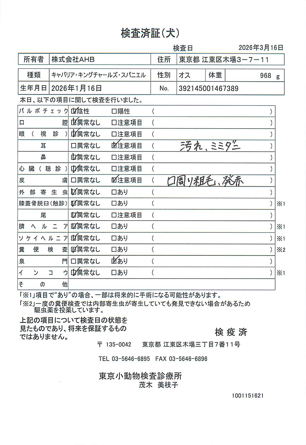 キャバリア・キングチャールズ・スパニエル