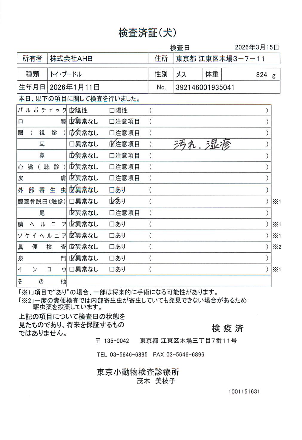 トイ・プードル