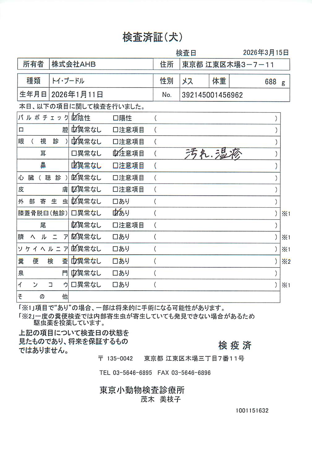 トイ・プードル
