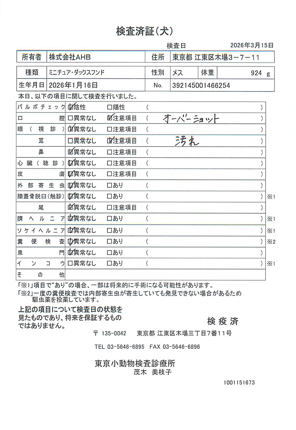 ミニチュア・ダックスフンド
