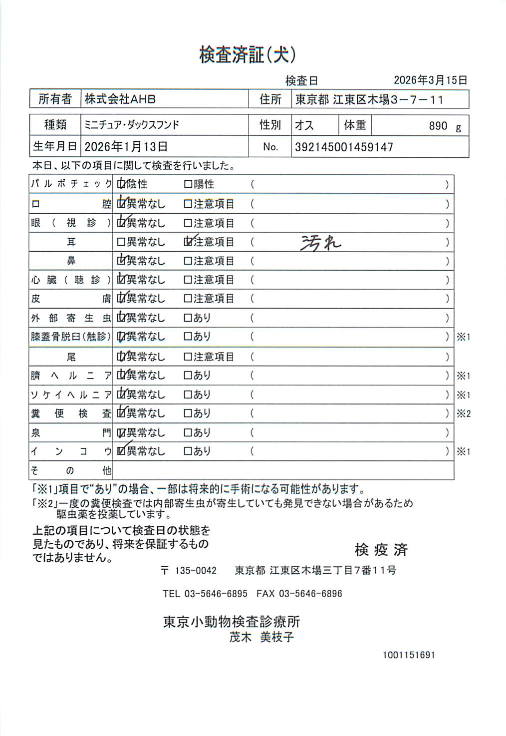 ミニチュア・ダックスフンド