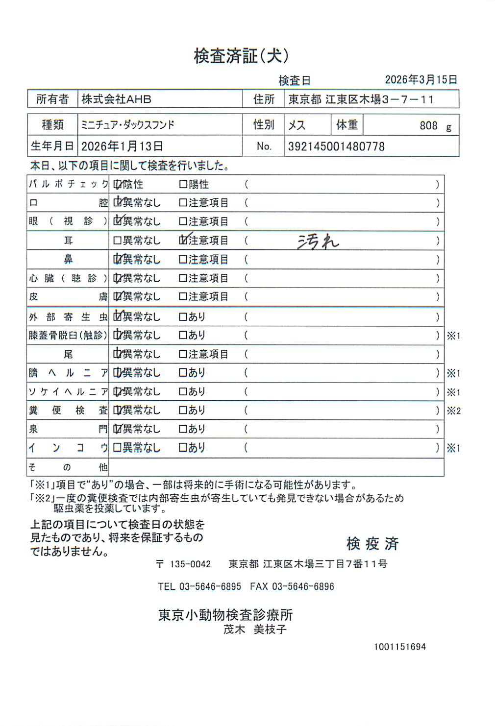 ミニチュア・ダックスフンド