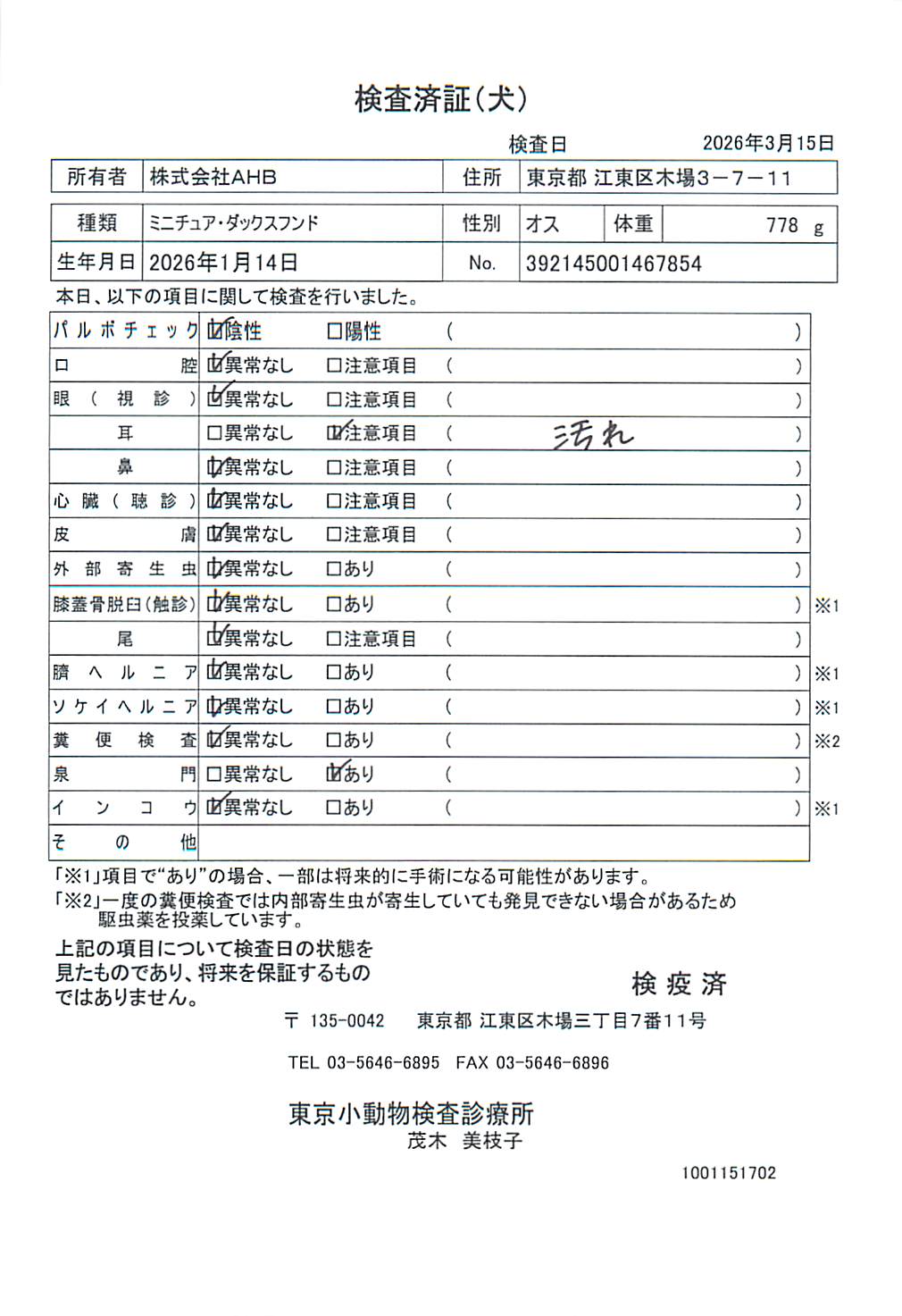 ミニチュア・ダックスフンド