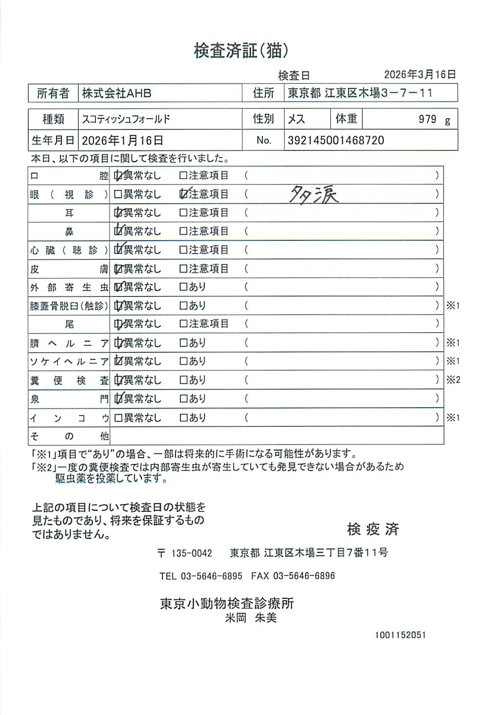 スコティッシュフォールド