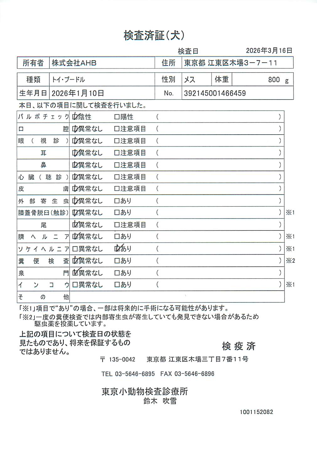 トイ・プードル