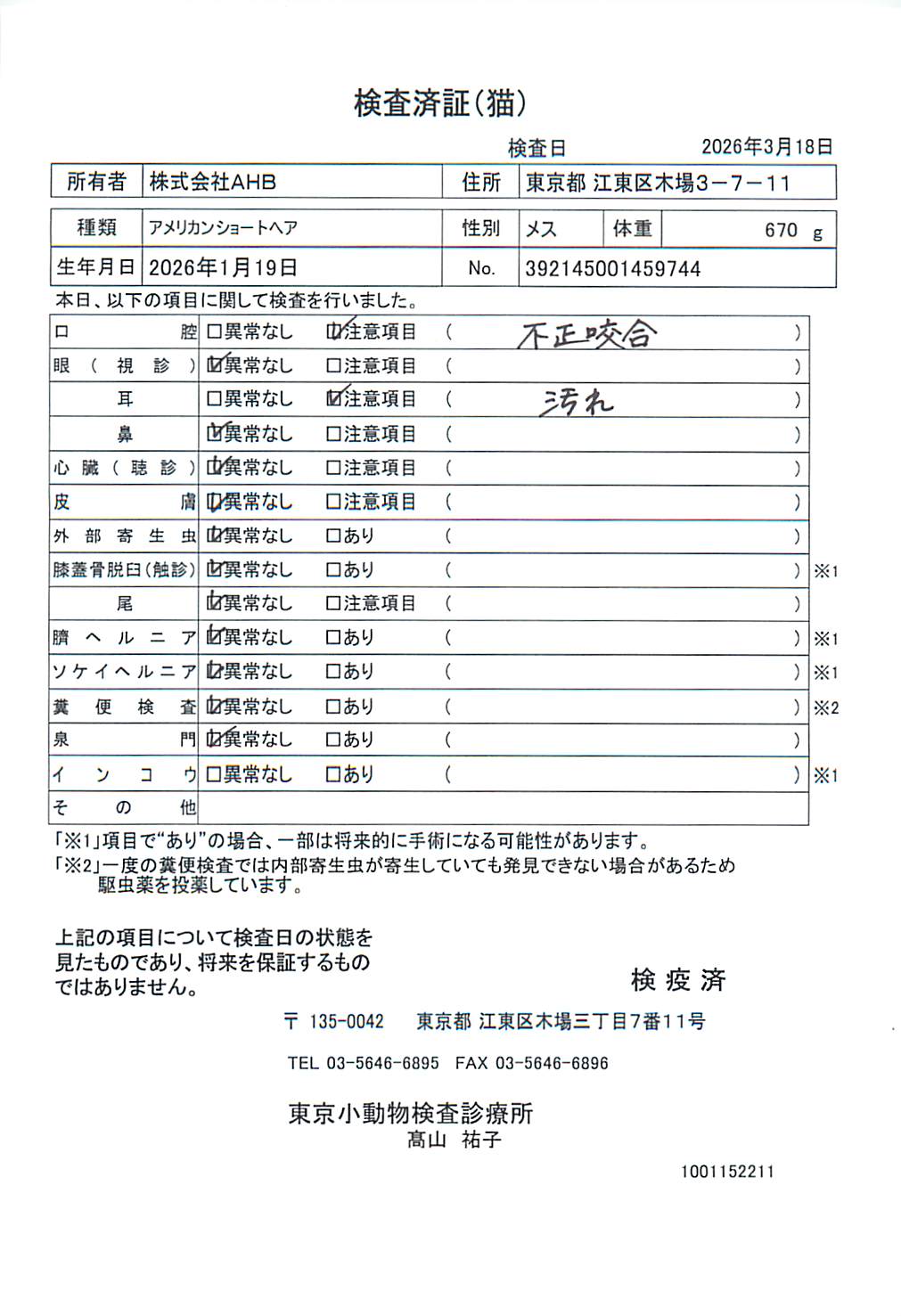 アメリカンショートヘア