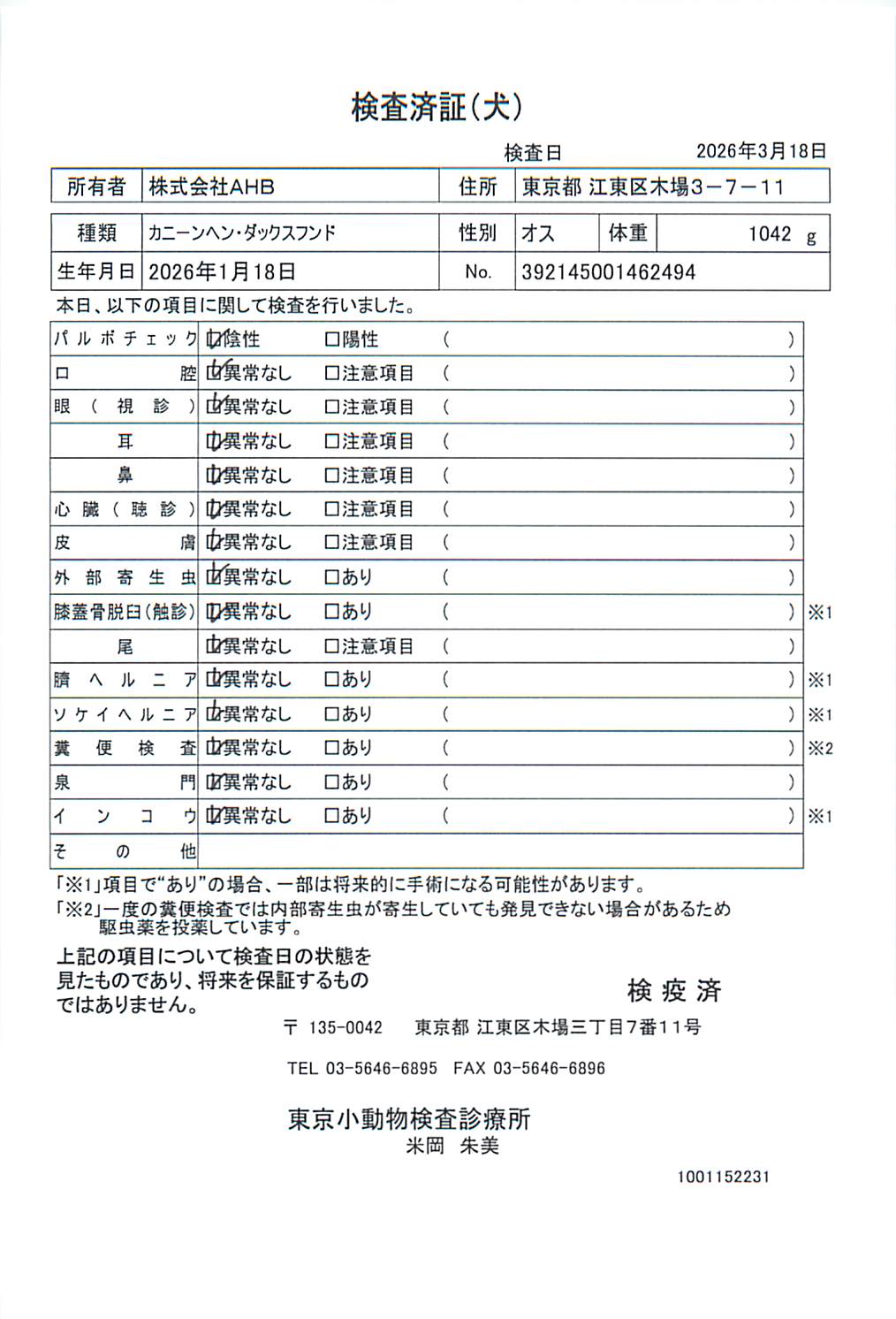 カニーンヘン・ダックスフンド