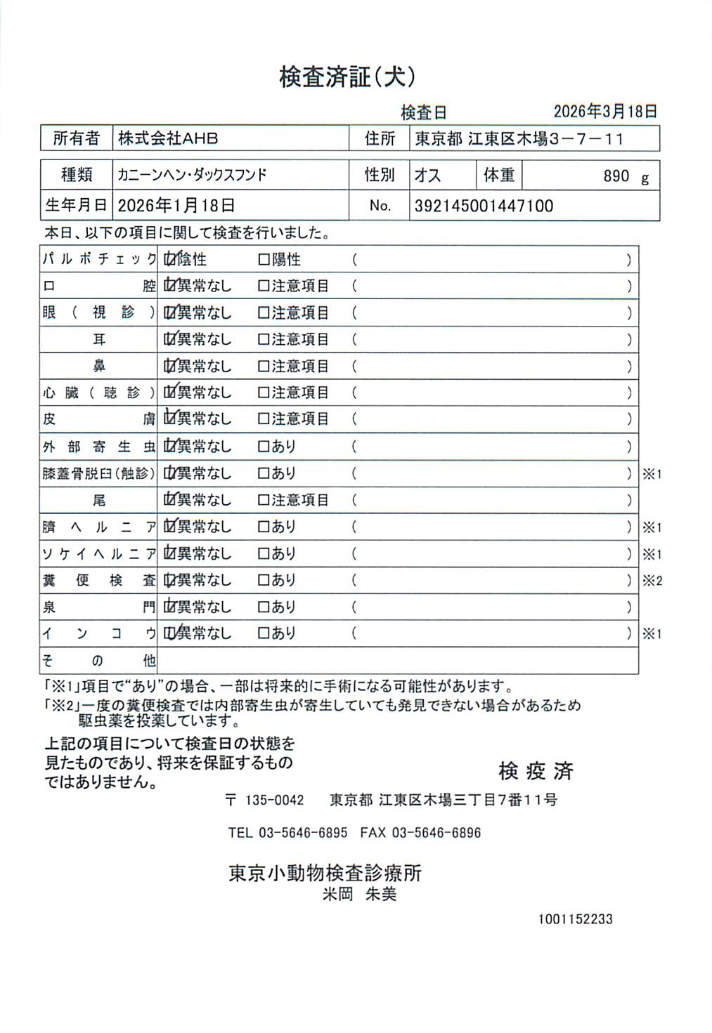 カニーンヘン・ダックスフンド