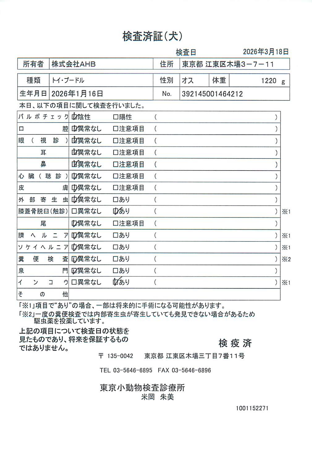 トイ・プードル