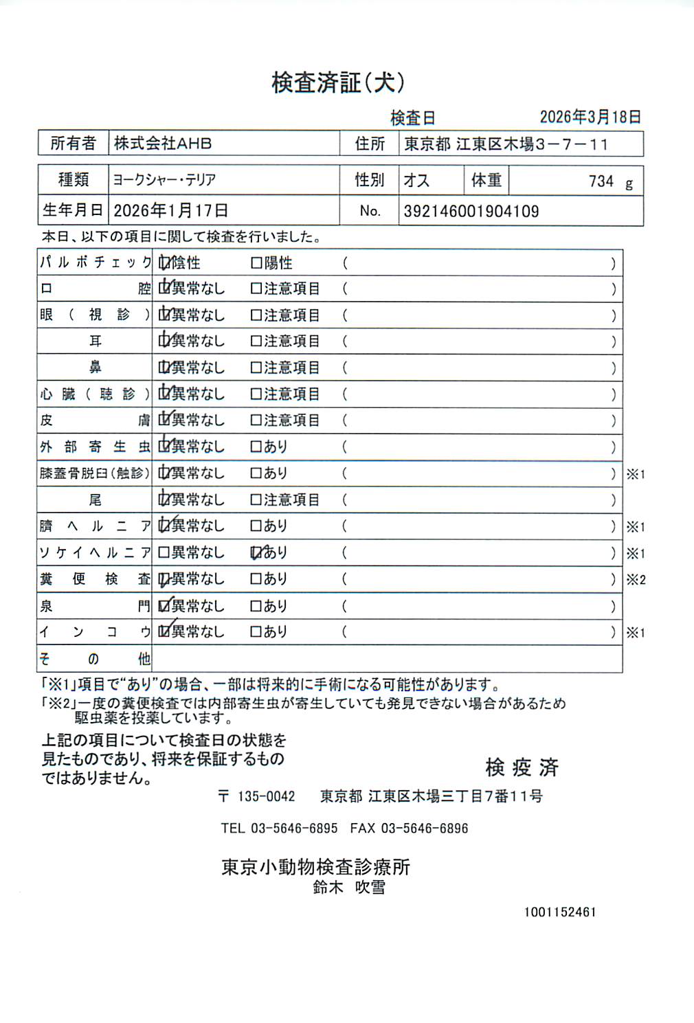 ヨークシャー・テリア