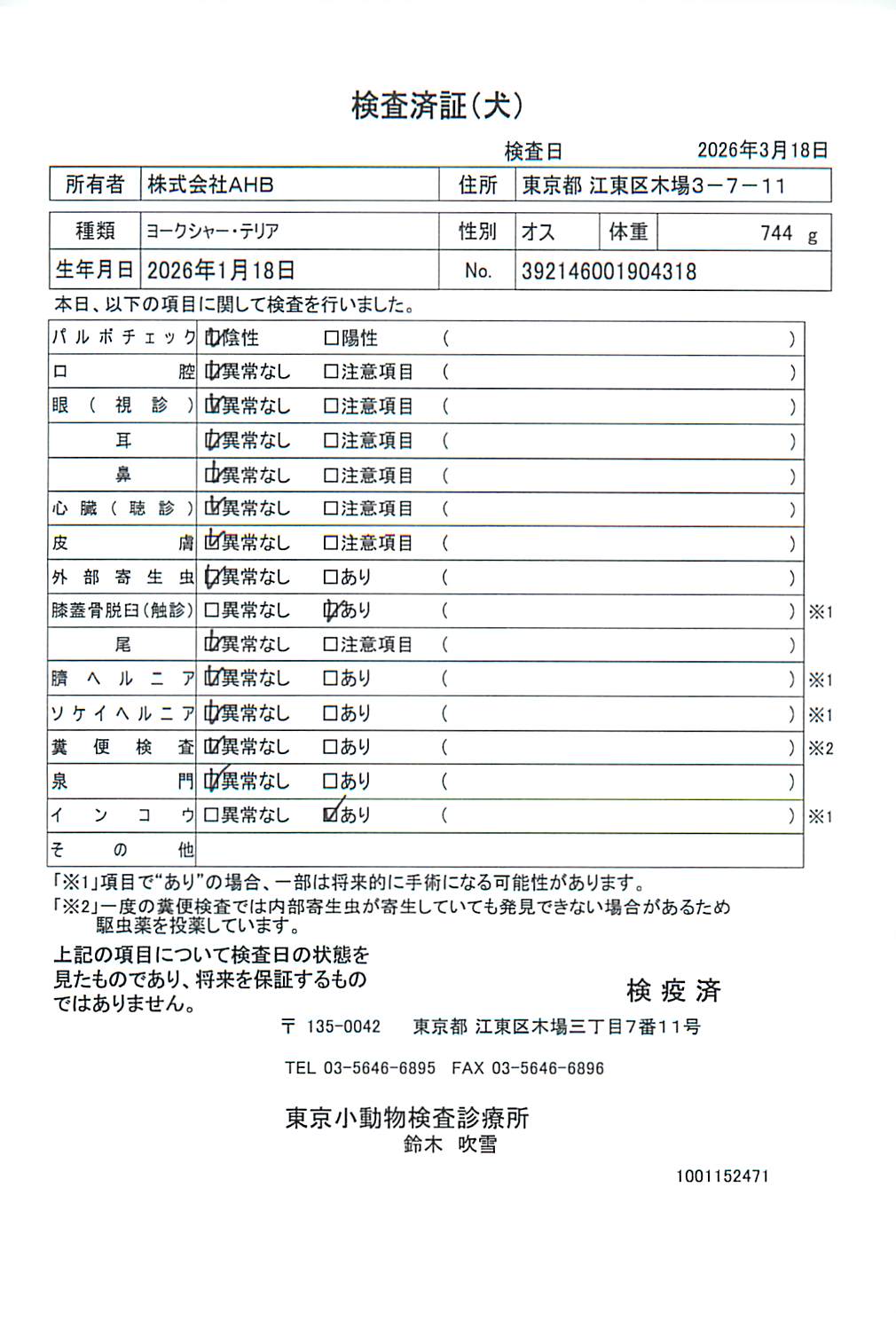 ヨークシャー・テリア