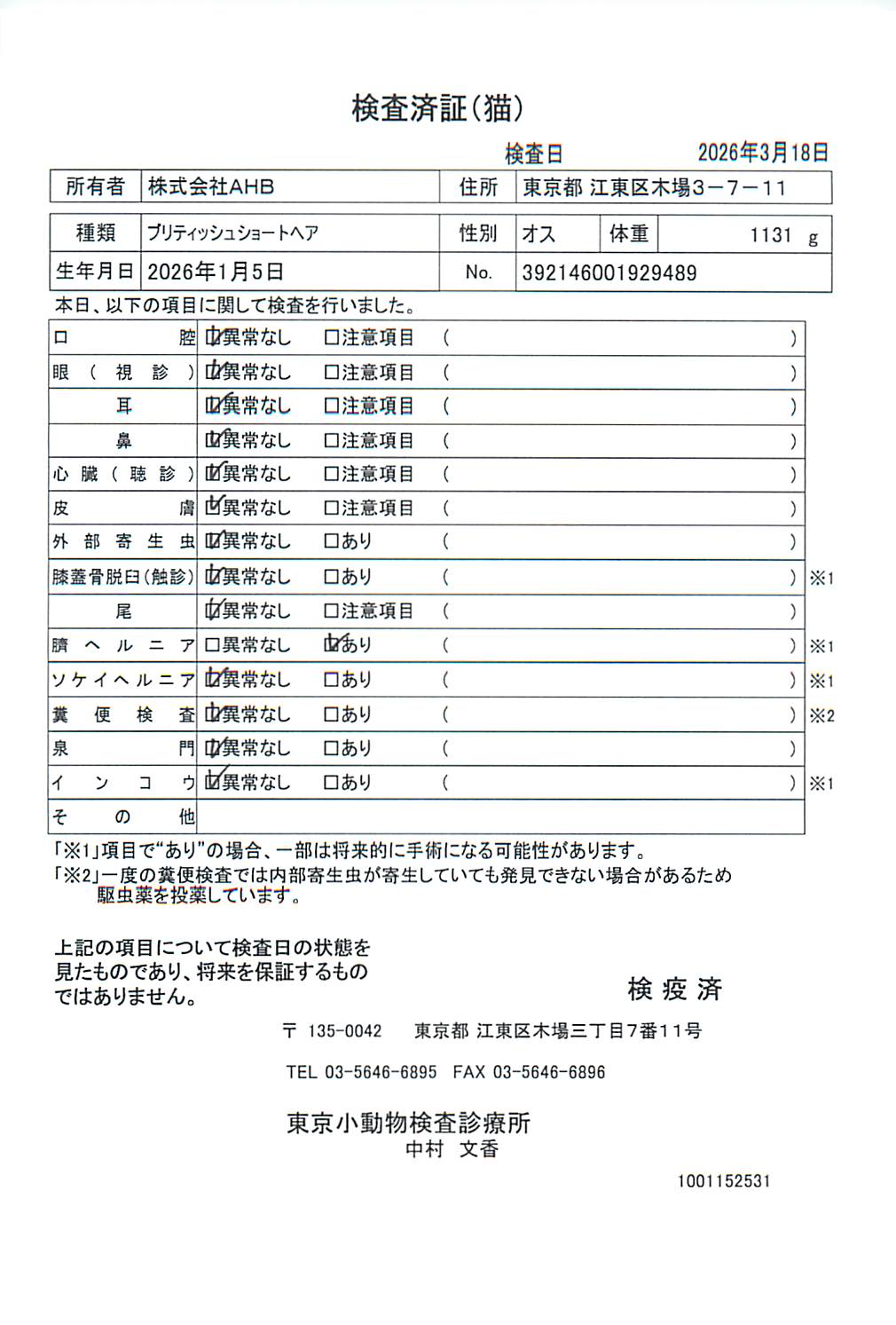 ブリティッシュショートヘア