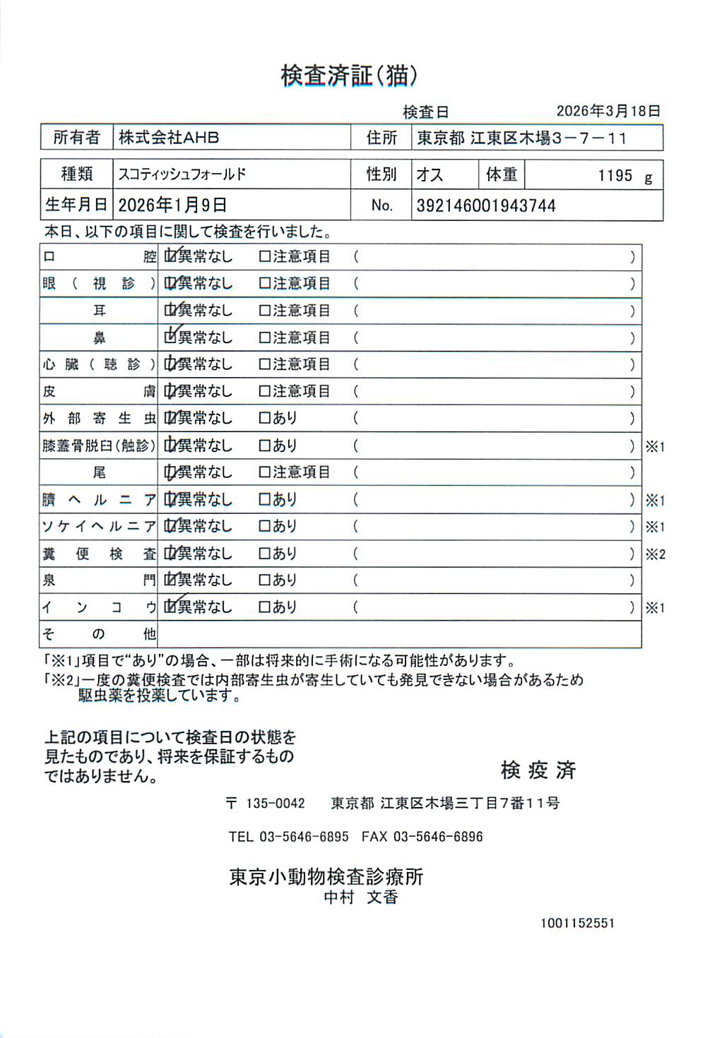 スコティッシュフォールド