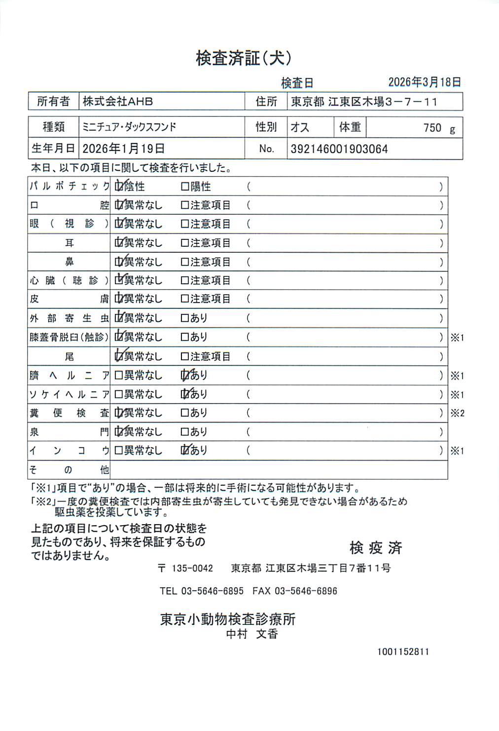 ミニチュア・ダックスフンド