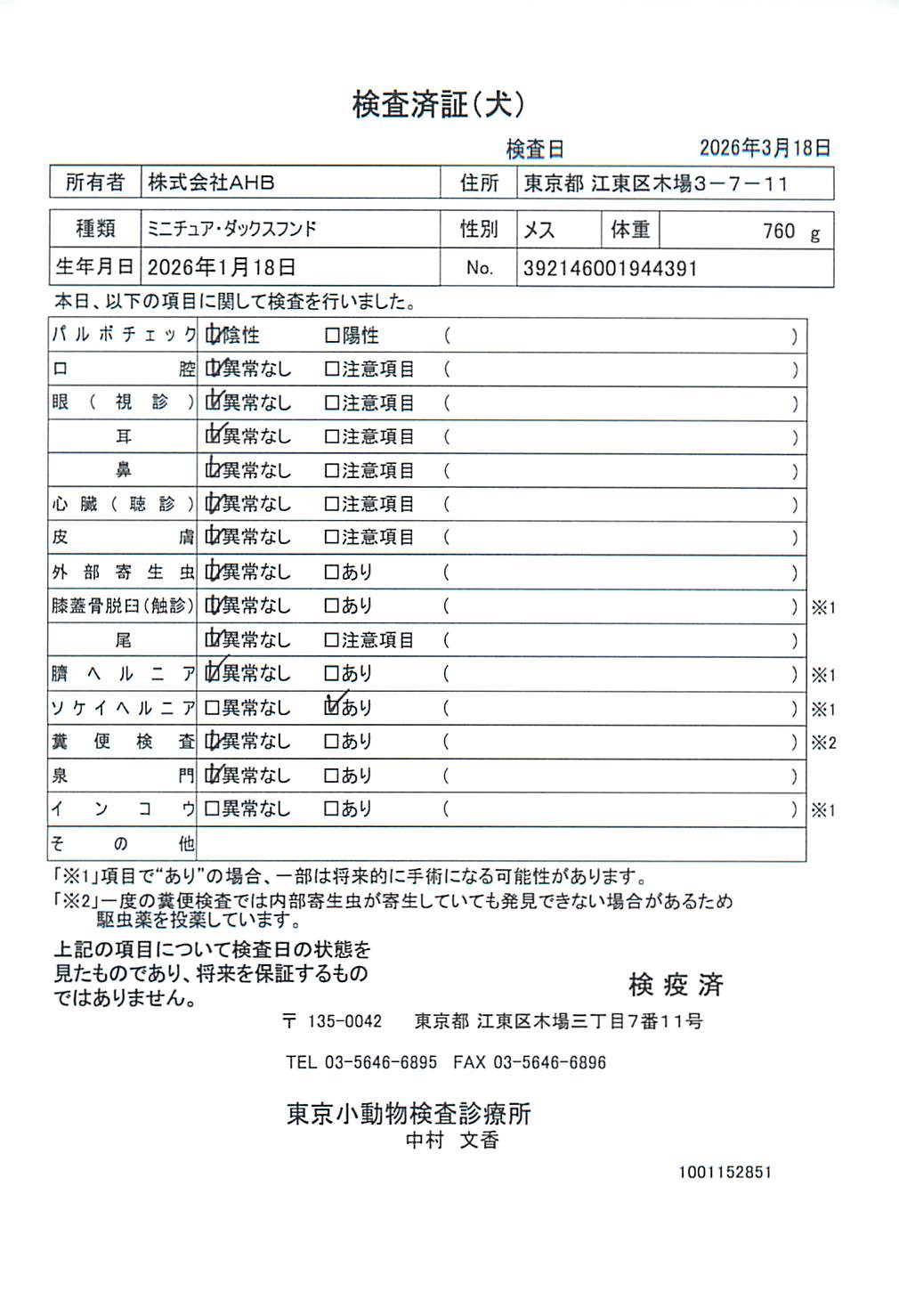 ミニチュア・ダックスフンド