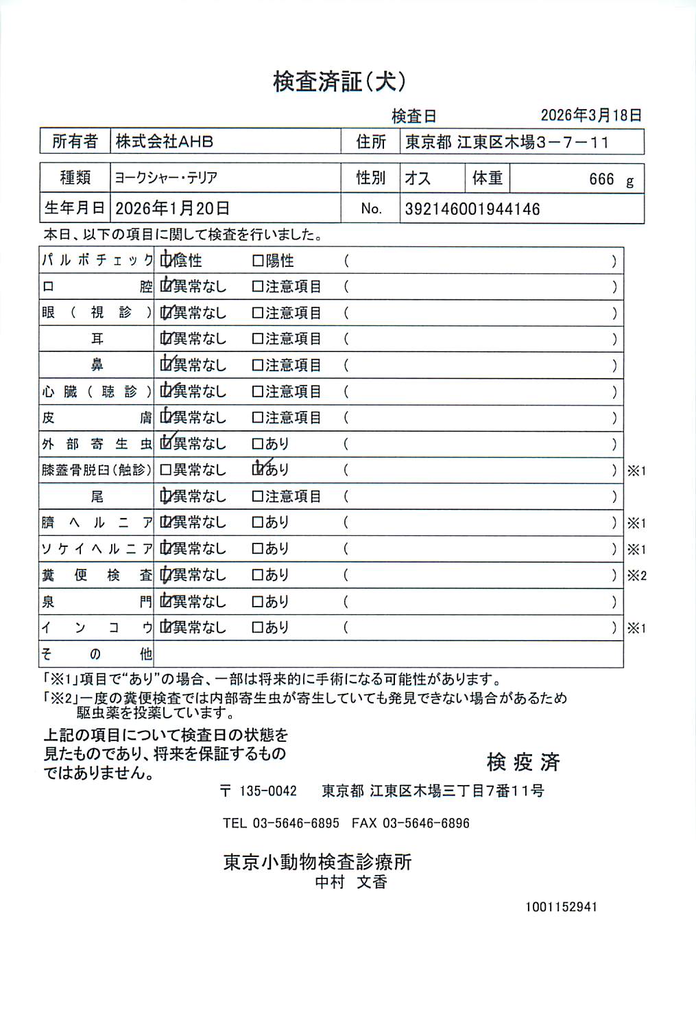 ヨークシャー・テリア