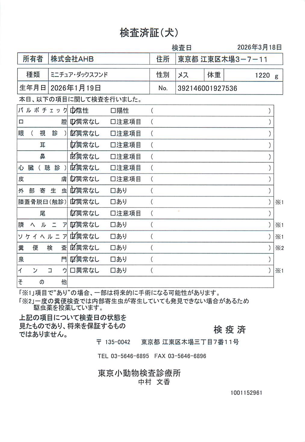 ミニチュア・ダックスフンド