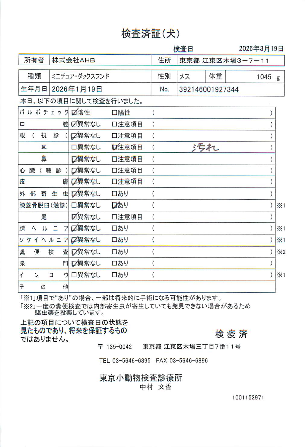 ミニチュア・ダックスフンド