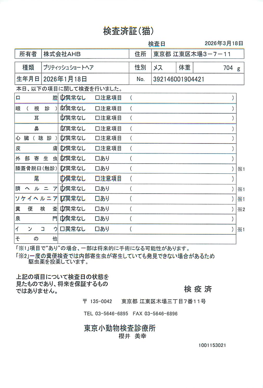 ブリティッシュショートヘア
