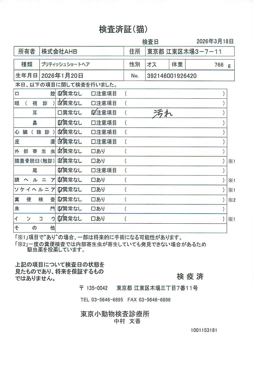 ブリティッシュショートヘア