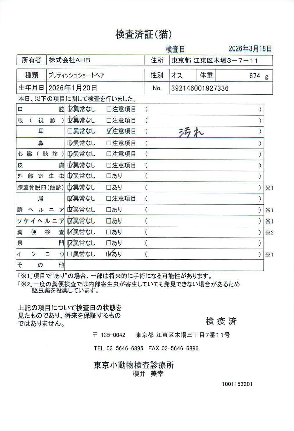 ブリティッシュショートヘア
