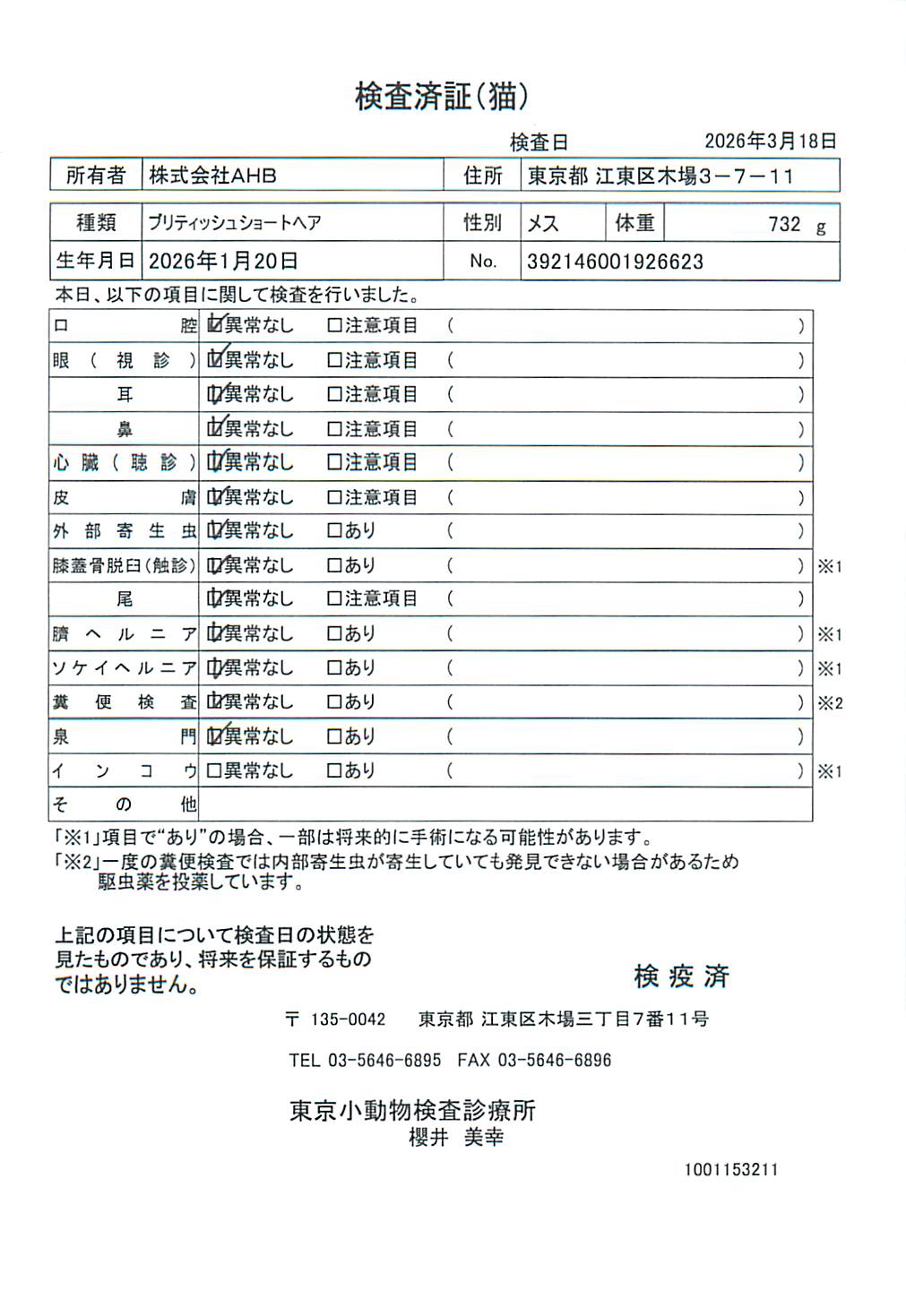 ブリティッシュショートヘア