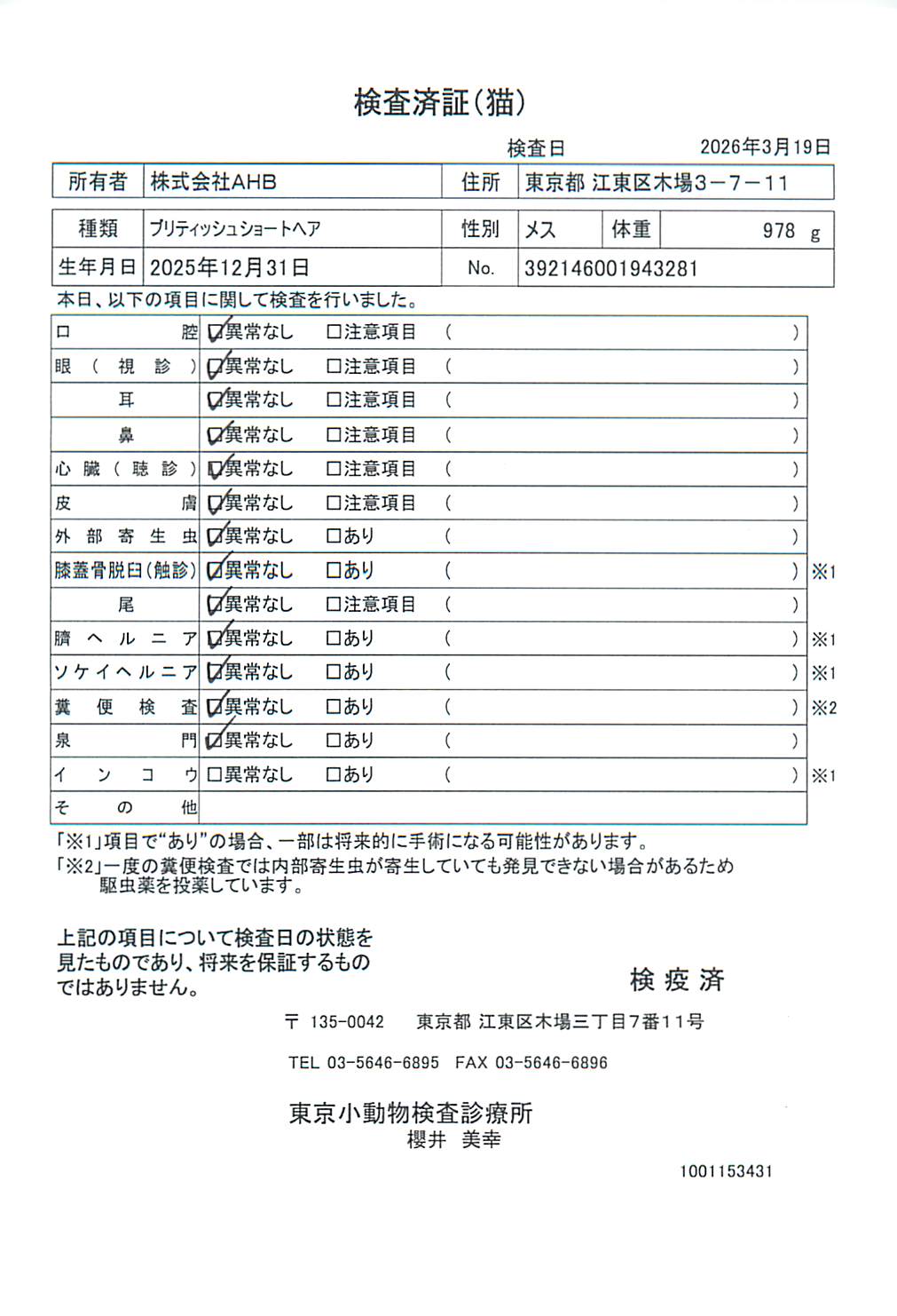 ブリティッシュショートヘア