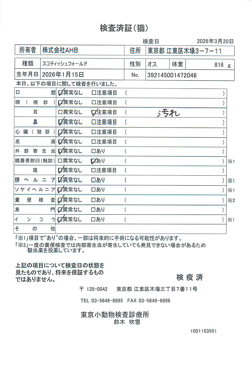 スコティッシュフォールド