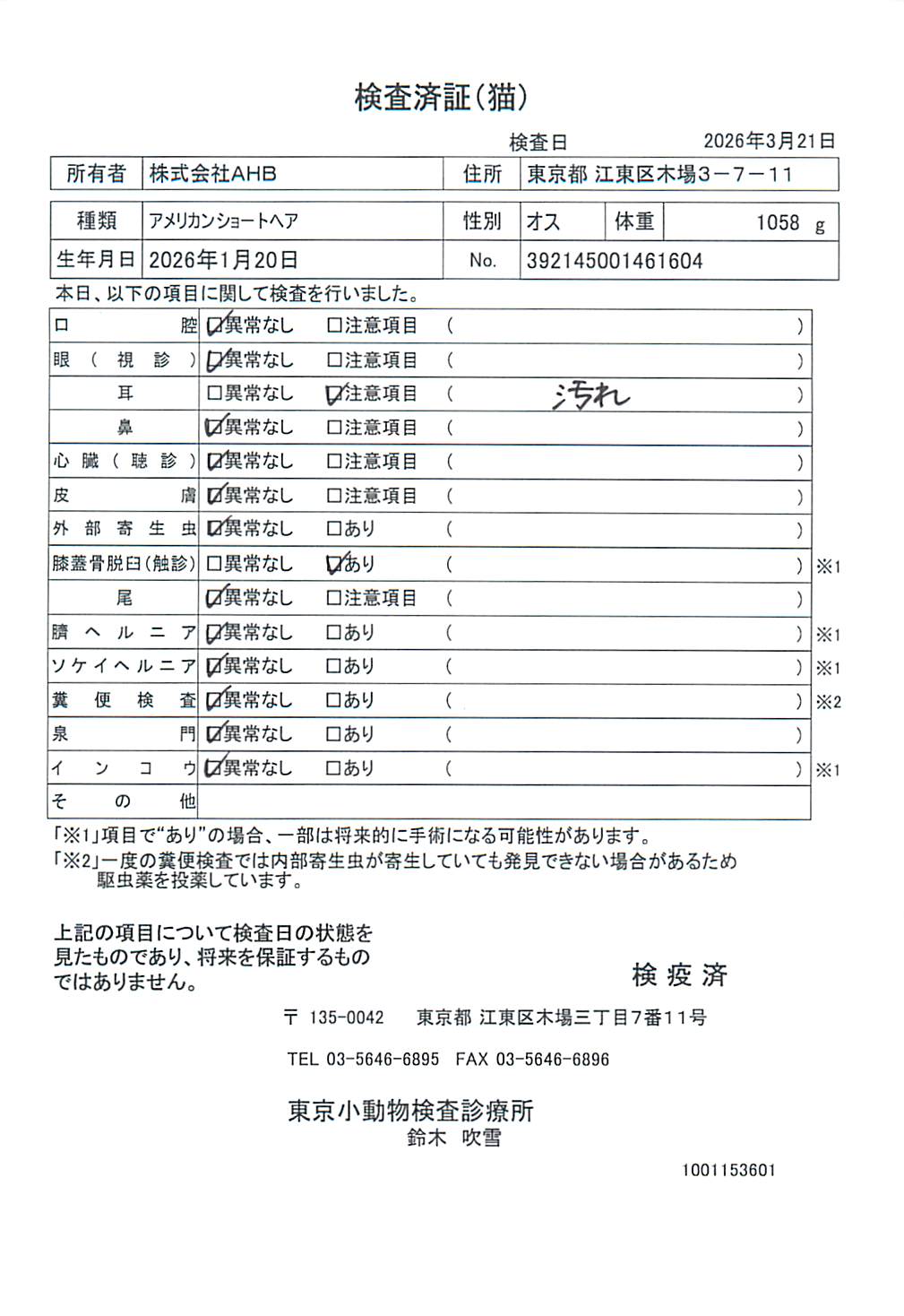 アメリカンショートヘア